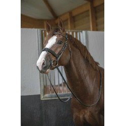 Bridon Pénélope Daily Zwart