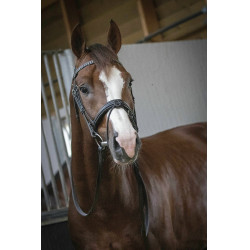 Bridon Pénélope Daily Zwart