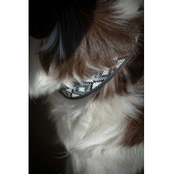 Halsband voor hond Pénélope Pearl Halsband voor hond Pénélope Pearl