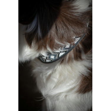 Halsband voor hond Pénélope Pearl Halsband voor hond Pénélope Pearl