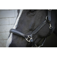 Licol cuir Pénélope Point Sellier Noir Licol cuir Pénélope Point Sellier Noir