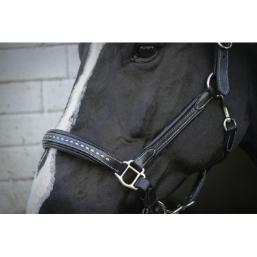 Licol cuir Pénélope Point Sellier Noir