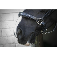 Lederen halster Pénélope Point Sellier Zwart Lederen halster Pénélope Point Sellier Zwart