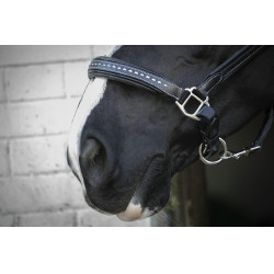 Licol cuir Pénélope Point Sellier Noir