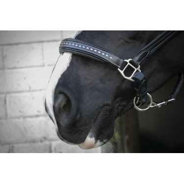 Licol cuir Pénélope Point Sellier Noir