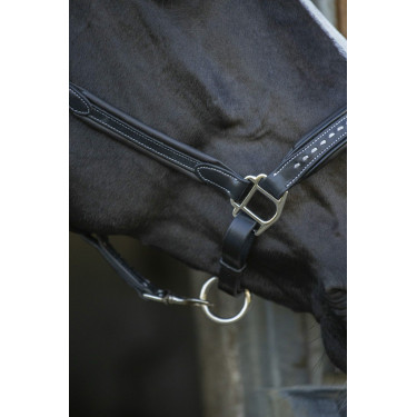 Licol cuir Pénélope Point Sellier Noir