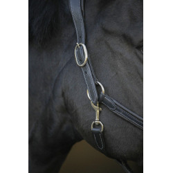 Lederen halster Pénélope Point Sellier Zwart