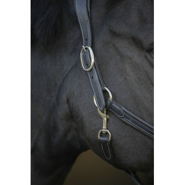 Licol cuir Pénélope Point Sellier Noir