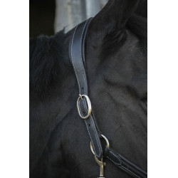 Lederen halster Pénélope Point Sellier Zwart