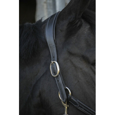 Licol cuir Pénélope Point Sellier Noir