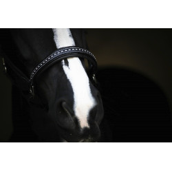 Licol cuir Pénélope Point Sellier Noir