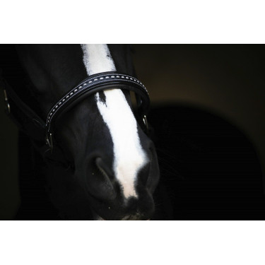 Licol cuir Pénélope Point Sellier Noir