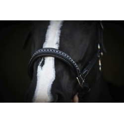 Lederen halster Pénélope Point Sellier Zwart