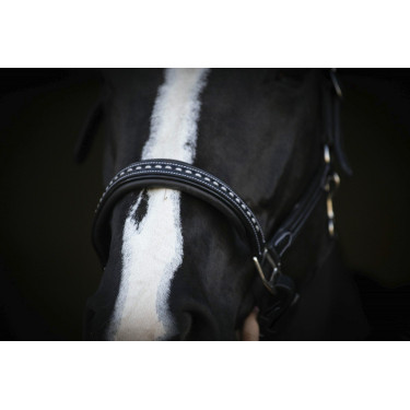 Licol cuir Pénélope Point Sellier Noir