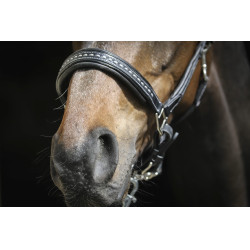 Lederen halster Pénélope Point Sellier Zwart