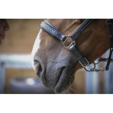 Licol cuir Pénélope Point Sellier Noir