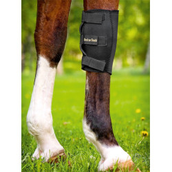 Protège-genou Back on Track Protège-genou Back on Track