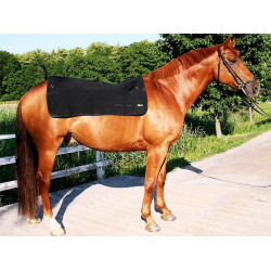 Rugverwarmer Back on Track Rugverwarmer Back on Track