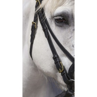 Bridon Excelsior Cheval de Trait Havane Marron