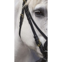 Bridon Excelsior Cheval de Trait Noir