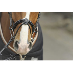 Bridon Pénélope Point Sellier Zwart