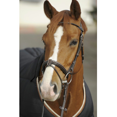 Bridon Pénélope Point Sellier Havana Bruin