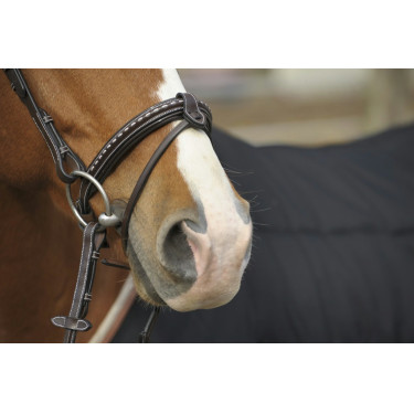 Bridon Pénélope Point Sellier Havana Bruin