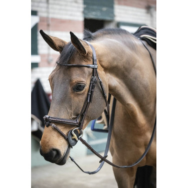 Bridon Pénélope Point Sellier Havana Bruin