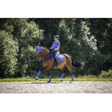 Tapis LeMieux Suede Dressage Square Bluebell Bleu Tapis LeMieux Suede Dressage Square Bluebell Bleu