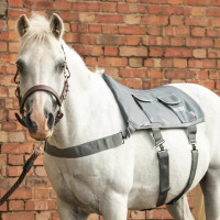 Tapis de massage Equilibrium Gris