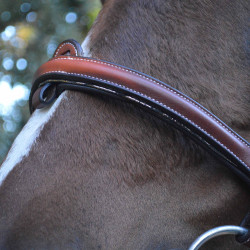 Bridon Flags & Cup Doha Marron Bridon Flags & Cup Doha Marron