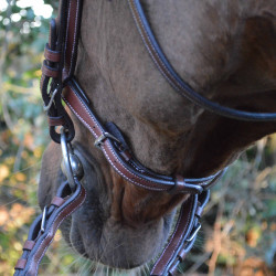 Bridon Flags & Cup Doha Marron Bridon Flags & Cup Doha Marron