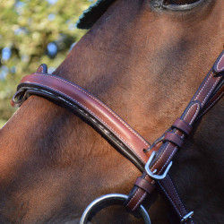 Bridon Flags & Cup Doha Marron Bridon Flags & Cup Doha Marron