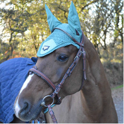 Bridon Flags & Cup Doha Marron Bridon Flags & Cup Doha Marron