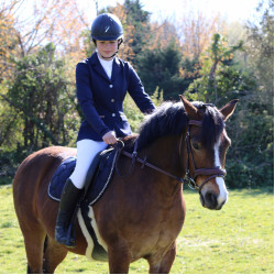 Bridon Flags & Cup Comfort combiné Marron Bridon Flags & Cup Comfort combiné Marron