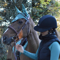 Casque Charles Owen SP8 Plus Micro-suede Noir