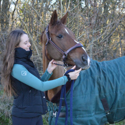 Technisch ondergoed My LeMieux Oud saliegroen Blauw