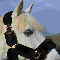 Halster Equithème Teddy roségoud Halster Equithème Teddy roségoud