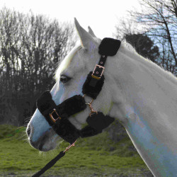 Halster Equithème Teddy roségoud Halster Equithème Teddy roségoud