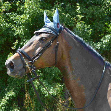 Bridon Canter Black strass Bridon Canter Black strass
