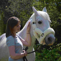 Transporthalster Flags & Cup Natuurlijk Bruin