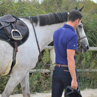 Pantalon Flags & Cup Saint Malo homme Bleu marine