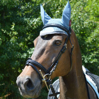 Bonnet anti-mouches LeMieux Classic Ice blue Bleu
