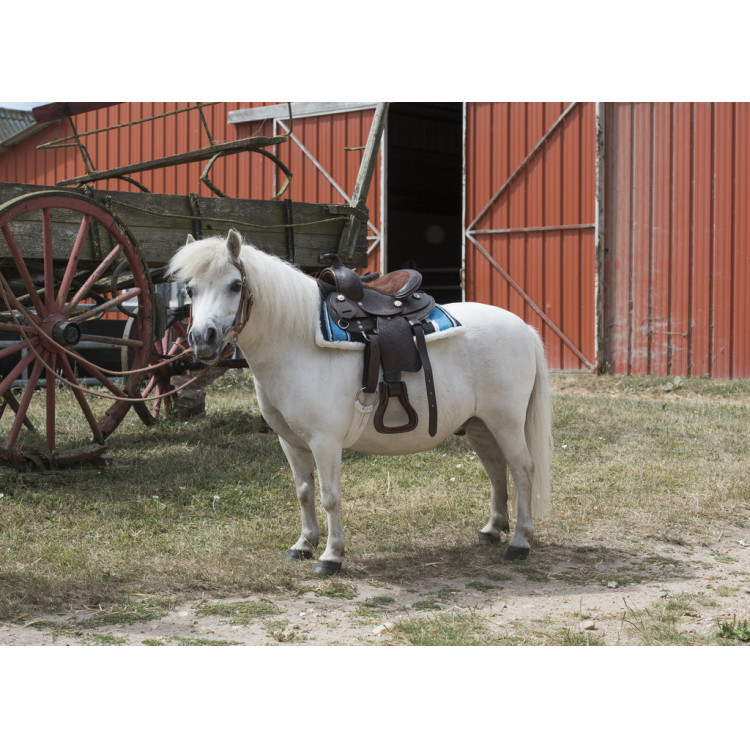Selle Western Westride Topeka Selle Western Westride Topeka