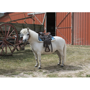 Westernzadel Westride Topeka Westernzadel Westride Topeka