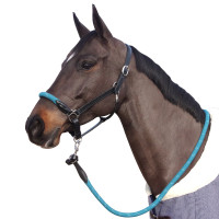 Licol corde Canter boucles blanches Noir / émeraude Licol corde Canter boucles blanches Noir / émeraude