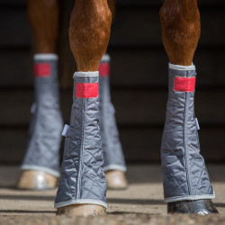 Lage magnetische beenbeschermers Equilibrium Grijs