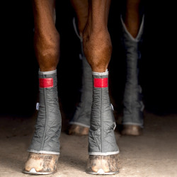 Lage magnetische beenbeschermers Equilibrium Grijs