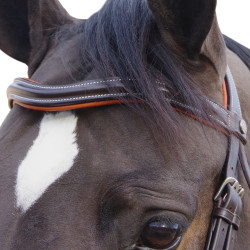 Bridon Canter Alme Marron Bridon Canter Alme Marron