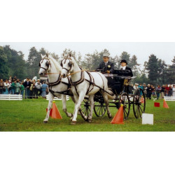 Jogo de kegels en ballen voor mennen La Gée